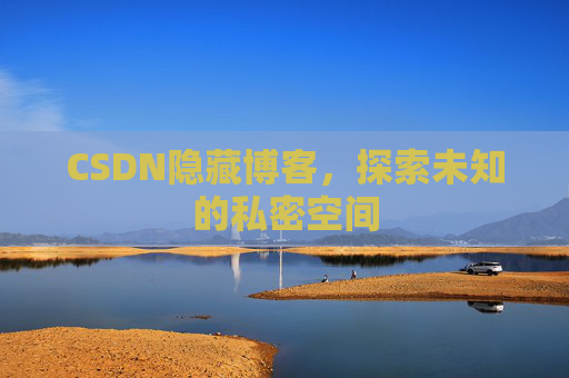 CSDN隐藏博客，探索未知的私密空间